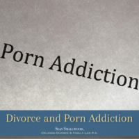 Porn addiction and divorce in Florida