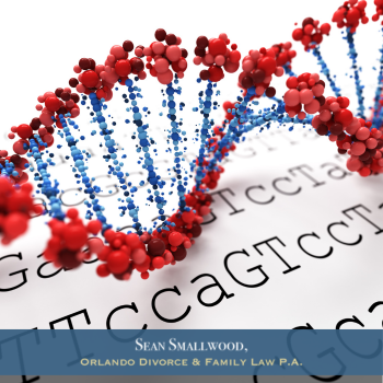 Sean Smallwood Family Law Firm How Accurate are home DNA Tests